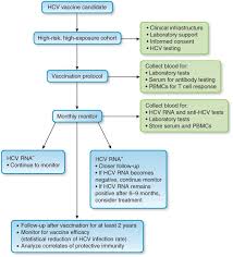 Jan 02, 2020 · you may have seen numerous literature and commercials about chronic hepatitis c (hcv) and for good reason. Current Progress In Development Of Hepatitis C Virus Vaccines Nature Medicine
