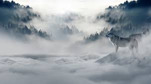 Wolves 4k Wallpapers For Your Desktop Or Mobile Screen Free And Easy To Download
