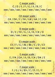 Trumpet Fingering Chart For Beginners Essential Yookamusic