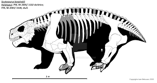 Image result for Scutosaurus