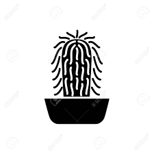 It is endowed with bearded plumage as a defense against desert heat. Vector Illustration Of Old Man Cactus In The Pot Desert Plant Royalty Free Cliparts Vectors And Stock Illustration Image 106229355