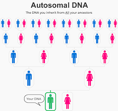 We did not find results for: Best Dna Test Kits For Ancestry In 2021 What You Need To Know