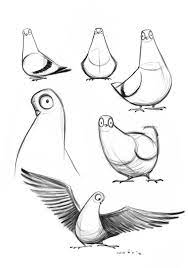 Pigeon Drawing Simple - Google Search | Animal Drawings, Cartoon Drawings,  Bird Drawings