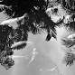 5- day silent zen meditation and yin yoga retreat event image