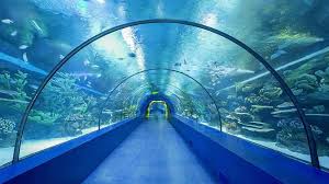 Antalya Aquarium Turkey Prices How Much Is Entrance Ticket Cost Discounts Publicaciones Facebook