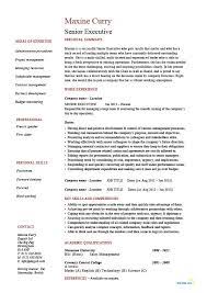 You will need an exceptional resume that demonstrates you as a unique and. Senior Executive Resume Example Sample Management Leadership Ability Projects Work