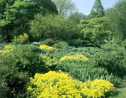 Flora und botanischer garten sind weiterhin geöffnet! Eghn Die Flora Der Botanische Garten Koln
