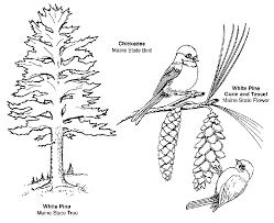 You can find most standard formats for printers here. Symbols Coloring Book Maine Secretary Of State Kids Page