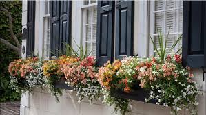 Mar 03, 2019 · securing your window boxes. 15 Fresh Ideas For Summer Windowboxes