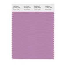 ( 4.9 ) stars out of 5 stars 20 ratings , based on 20 reviews glidden Pantone 16 3110 Tcx Swatch Card Smoky Grape Buy In India