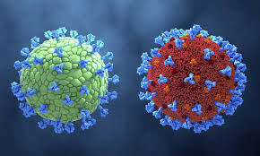 It's amazing to see finally confirmed by top experts what we wrote more than one year ago: La Struttura Genetica Di Sars Cov 2 Non Esclude L Origine In Laboratorio