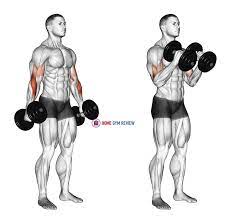 Grab your dumbbells and let them hang at your sides with your palms facing. Dumbbell Hammer Curl Version 2 Home Gym Review