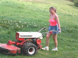 Mowing Walk Behind Flail Mower Walk Behind Tractor Tractor Idea Reel Lawn Mower
