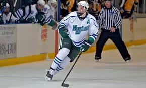 Men's Hockey Falls In AHA Championship To Canisius