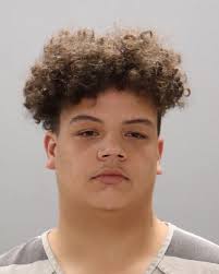 REAGAN, MICHAEI JADON MICHAEL Charges: HOLD FOR SEVIER CO