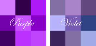 What is the opposite of a gun?a classroom erupts into a war. Difference Between Violet And Purple