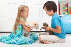 Leap years have 52 full weeks and two extra days. Best Pet For Kids How To Choose