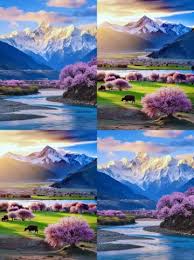 3-5月春天去哪最適合看看有沒有你想去的地方｜Trip.com 無錫