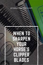 Check spelling or type a new query. How To Sharpen Clipper Blades At Home Arxiusarquitectura