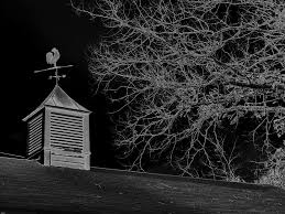 Now he's ready to proudly adorn the rooftop of your home, garage, cupola, barn or gazebo. Weathervane Copula Barn Weather Vane Rooster Wind Wind Direction Weathercock Wind Direction Indicator Wind Vane Whirly Gig Pikist