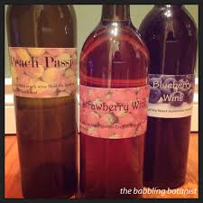 Making your own wine is a true labour of love, one that will allow you to relish the fruits of your labour. Small Batch Homemade Fruit Wines The Babbling Botanist
