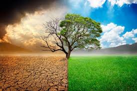 Climate change can be beaten - why some scientists are hopeful | Daily  Nation