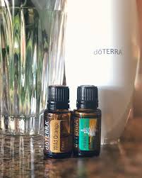 Doterra Diffuser Blend Wild Orange And Holiday Peace 3 Drops Of Each Essential Oil Diffuser Blends Recipes Essential Oils Work Doterra Diffuser Blends