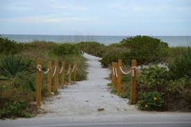 Image result for Sandy Beach Brown 2011 Captiva