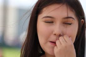 2024 Red Lake Fair and Pow Wow