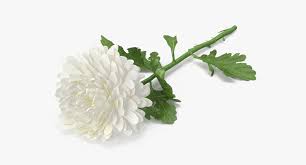 Pin On 3d Flower