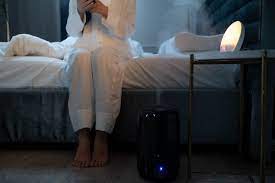 How To Clean A Relion Humidifier - Homemaking Manual