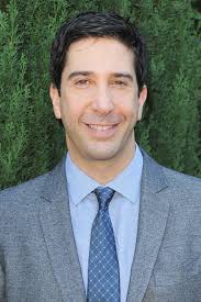 David Schwimmer Cast in U.K. Sitcom