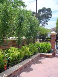Engeltrees Engeltrees Backyard Garden Landscape Backyard Garden Design Front Garden Ideas Driveway
