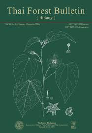 Image result for Alangiaceae