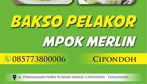 Panaskan minyak, tumis bawang putih hingga harum. Bakso Plakor Mpo Merlin Home Facebook