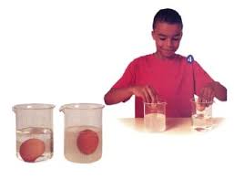 ما هي التجربة التي تثبت ان الماء المالح اكثر كثافة من الماء العذب إسألنا