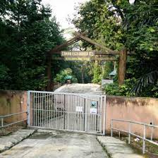 Guests checking in before the designated period may be charged an additional fee. Canopy Walk At Kl Forest Eco Park Bukit Nanas Forest Reserve Kyension Com