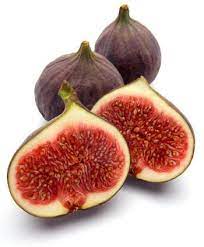 شجرة التين ficus carica agricultural arts facebook
