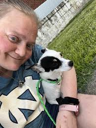 Good day fur parents. I adopted this cute little doggo few weeks ago. Any  idea of its breed? Thanks in advance.