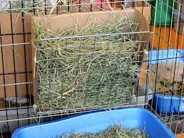 With these diy coat rack projects that are all uniquely distinct, totally functional, and handmade, you will stun your visitors with your creativity! Diy Hay Rack Cooking Code With Bunnies Hay Racks Diy Hay Feeder Hay Feeder