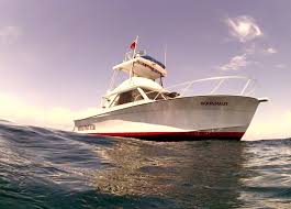 All meals, unlimited nitrox tanks and weights included. Spearfishing Adventures