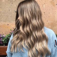 Subtle blonde highlights on lighter brown hair can go a long way for thin medium length hair with dark roots like this. 17 Dark Blonde Hair Ideas Formulas Wella Professionals