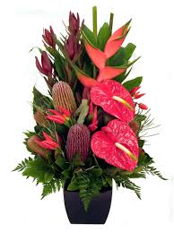 There are two ways to make a tissue paper pom pom that is nice and round. Tropical And Native Arrangement Donvale Flower Gallery Order Flowers Online Buy Flowers Online Flower Arrangements