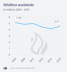 Wildfires Climate Change And Deforestation Increase The Global Risk Environment All Topics From Climate Change To Conservation Dw 08 01 2020