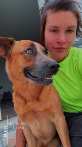 Looking to rent a trailer for a few weeks. Anyone have any leads