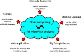 To reduce the complexity of data blending in iot which is one of its criteria to maximize its benefits. A Review Of Cloud Computing Technologies For Comprehensive Microrna Analyses Sciencedirect