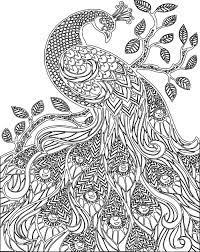 Download Pin On Doodles Mandala