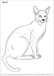 Draw two circles as guides for the first part of the siamese cat's body. Learn How To Draw A Siamese Cat Cats Step By Step Drawing Tutorials