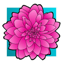 1234 arlington way arlington, texas 76002. In Bloom Flowers Home Facebook