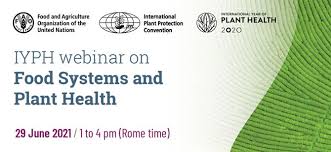 23.07.2020 · australia's health 2020 australia's health 2020 is the aihw's 17th biennial report on the health of australians. International Year Of Plant Health 2020 Fao Food And Agriculture Organization Of The United Nations